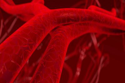 На Европейском венозном форуме представлены результаты исследования VEIN ACT PROLONGED-C3 На Европейском венозном форуме представлены результаты исследования VEIN ACT PROLONGED-C3
