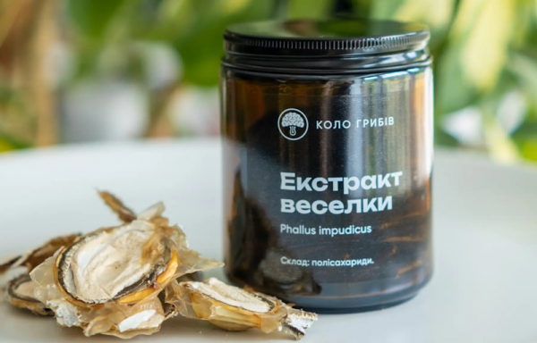 Грибні екстракти: від зміцнення імунітету до покращення когнітивних функцій
