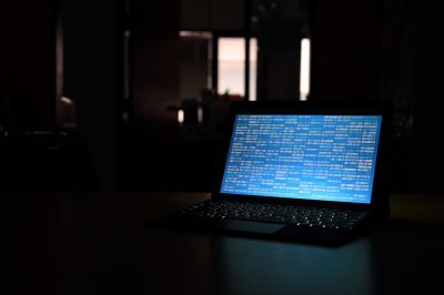 ИП исключили из сферы действия закона о критической информационной инфраструктуре