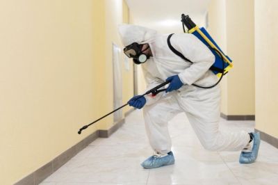 Лицензионный контроль по дезинфекции будут проводить через приложение «Инспектор» Лицензионный контроль по дезинфекции будут проводить через приложение «Инспектор»