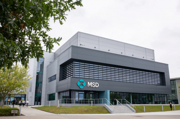 MSD разделила фармбизнес в преддверии окончания срока патентной защиты &laquo;Китруды&raquo;