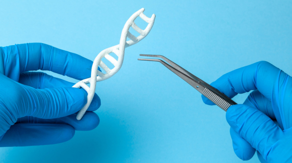 FDA разрешило возобновить испытания CRISPR-терапии после смерти пациента FDA разрешило возобновить испытания CRISPR-терапии после смерти пациента