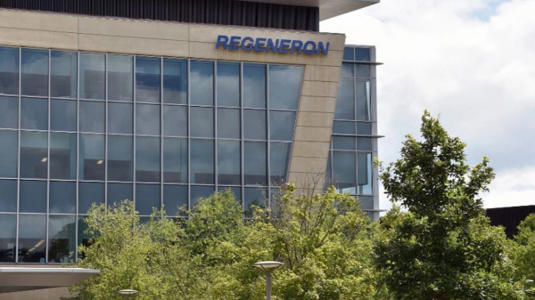 Regeneron вложила 2,3 млрд долларов в разработку конъюгатов антитело-хеликон Regeneron вложила 2,3 млрд долларов в разработку конъюгатов антитело-хеликон